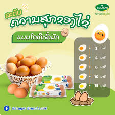 ລວກໄຂ່